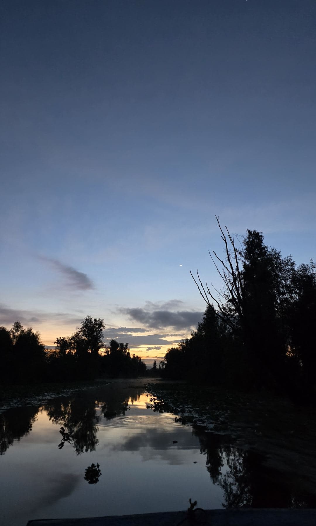 Canal de Xochimilco en penumbra antes del amanecer